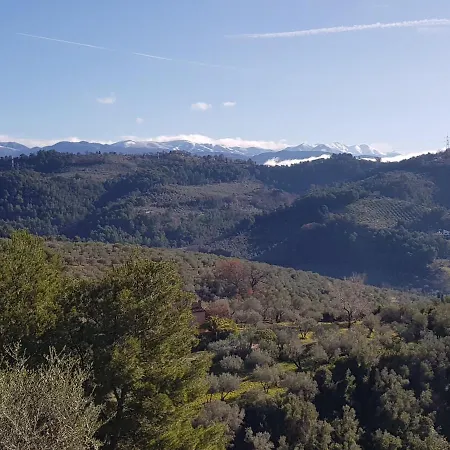 Monica - Uso Esclusivo טרני