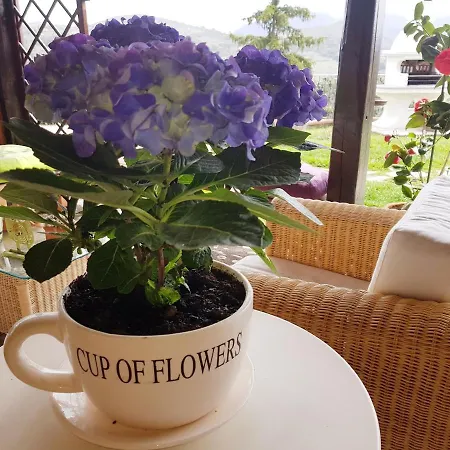 Monica - Uso Esclusivo