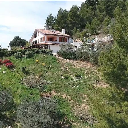 Monica - Uso Esclusivo טרני