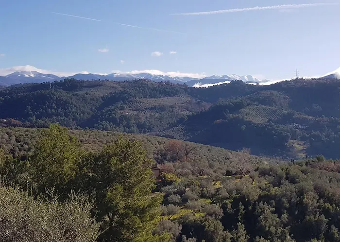 Monica - Uso Esclusivo Terni